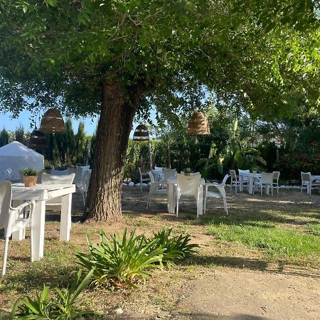 Alma Zahora Hotel Barbate Kültér fotó